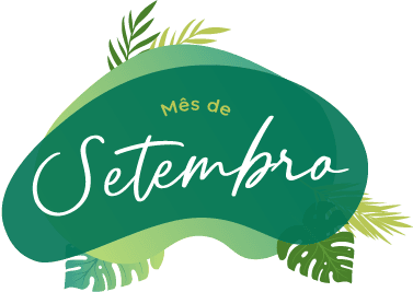 promotion-banner